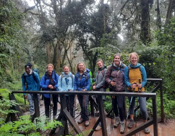 Mount Kilimanjaro Day Tour