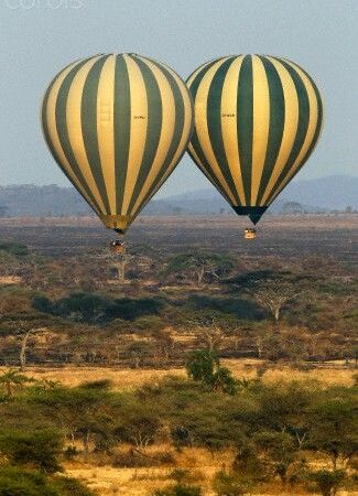 A safari from the sky – Balloon Safaris(Serengeti & Tarangire National Park).