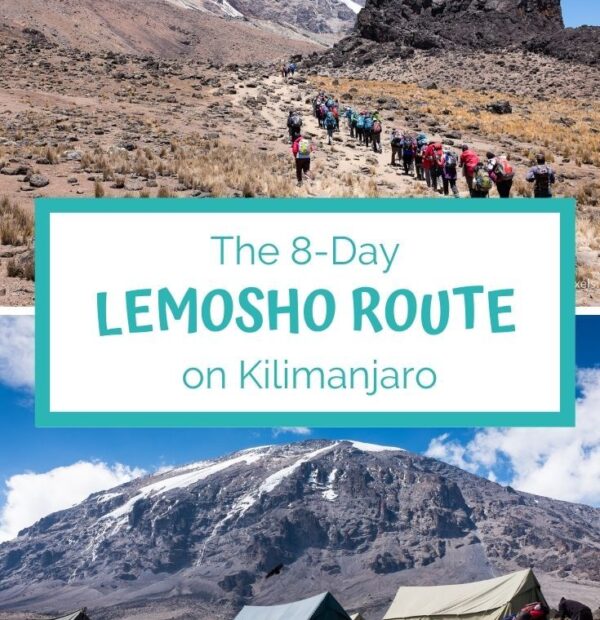 8 Day Kilimanjaro Trekking Tour via Lemosho Route
